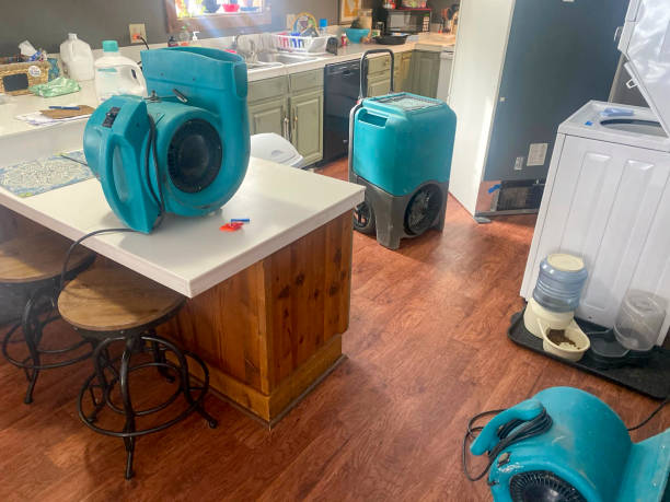 Best Ceiling water damage repair  in Canal Fulton, OH