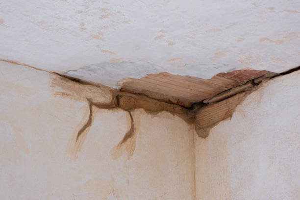 Best Local water damage restoration  in Canal Fulton, OH