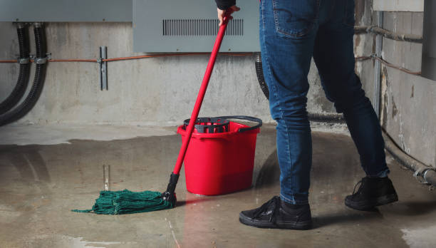 Best Flood restoration services  in Canal Fulton, OH