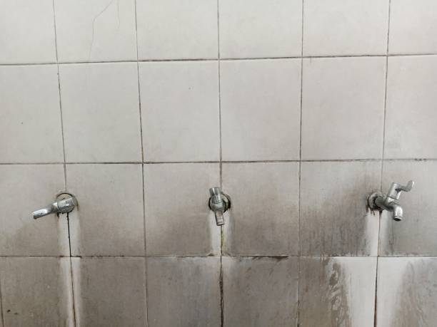Best Water damage restoration near me  in Canal Fulton, OH
