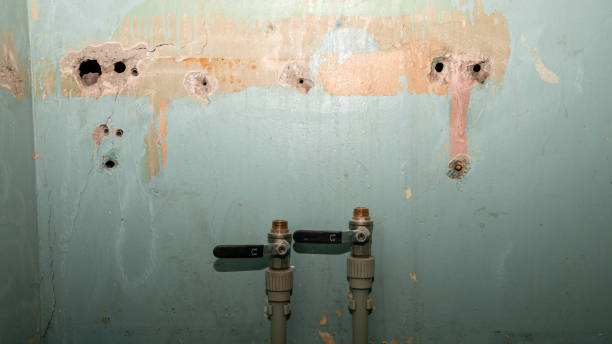Best Water damage restoration near me  in Canal Fulton, OH