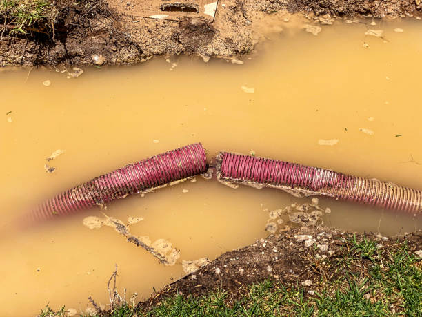 Best Sewage cleanup and water damage restoration  in Canal Fulton, OH