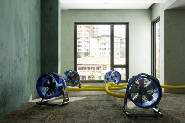 Best Carpet water damage restoration  in Canal Fulton, OH