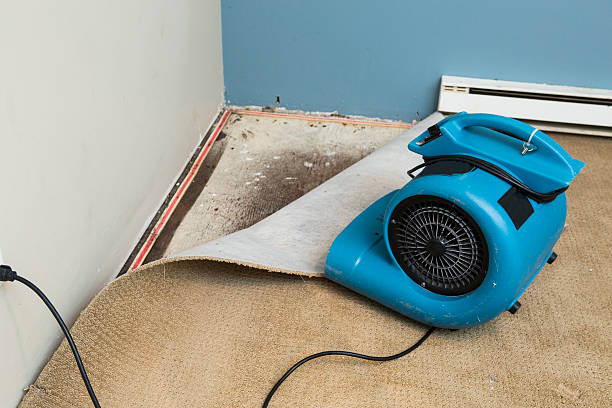 Best Local water damage restoration  in Canal Fulton, OH